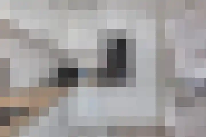 Tullensstraat 53 Oudheusden thumbnail 8