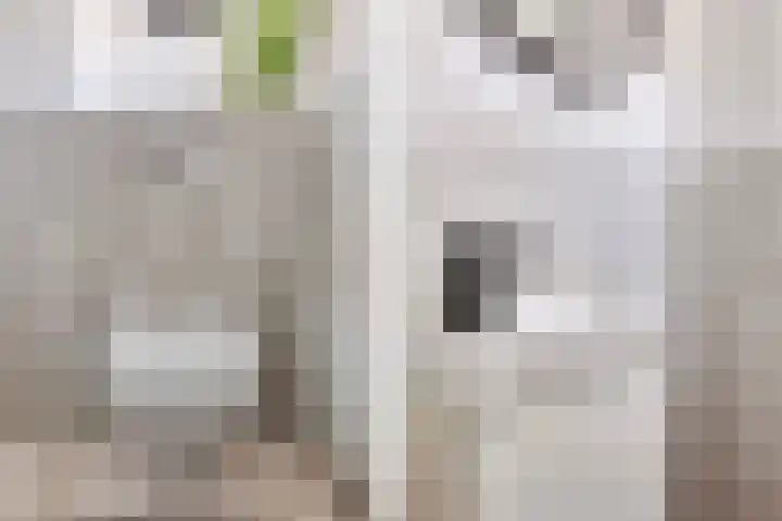 Tullensstraat 53 Oudheusden thumbnail 9