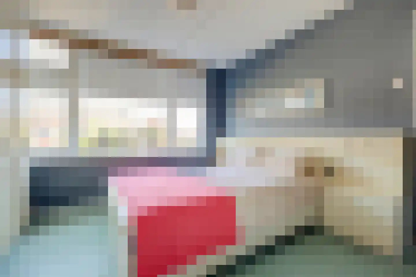 Tullensstraat 61 Oudheusden thumbnail 10