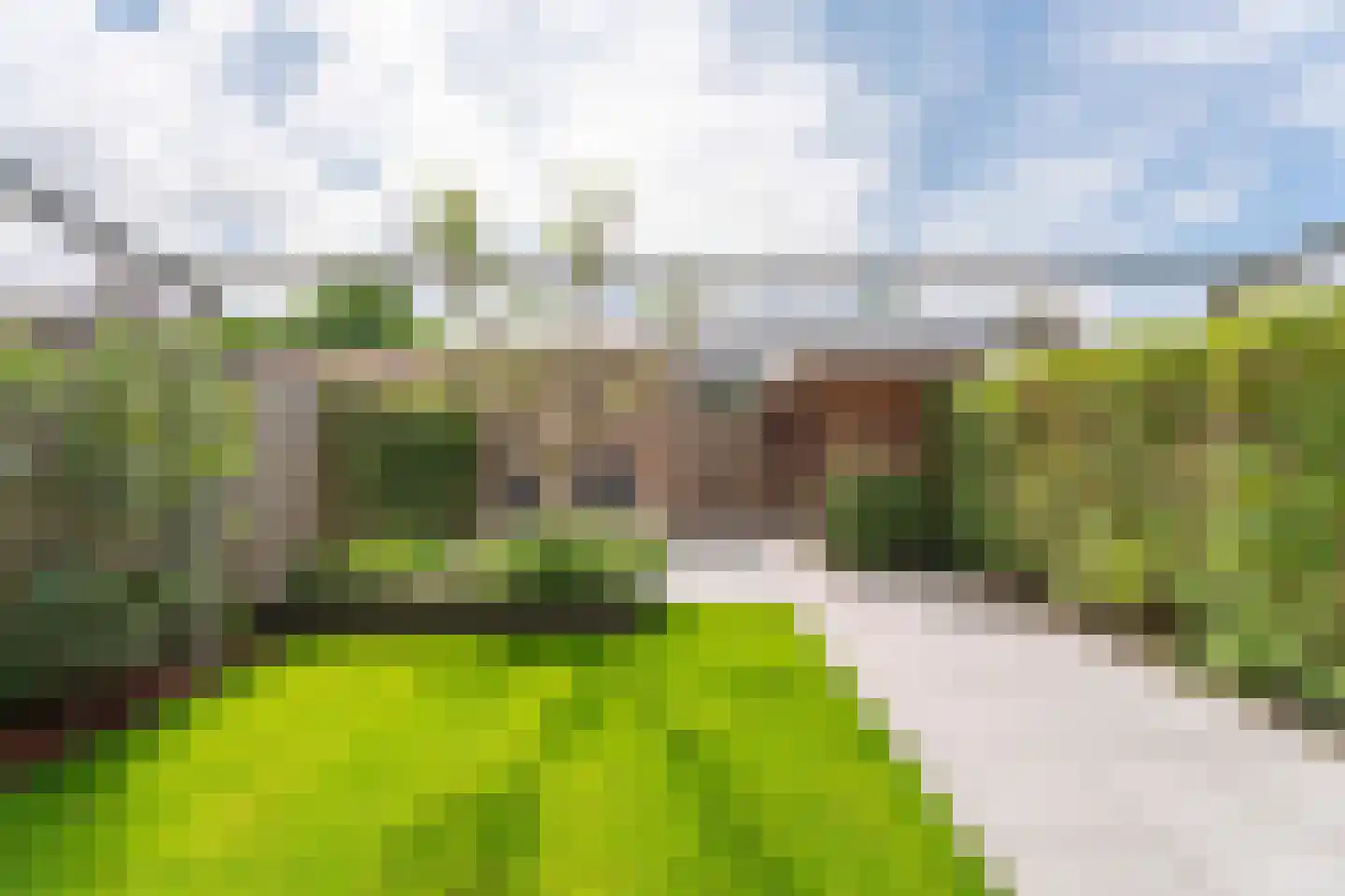 Tulp 23 Voorhout thumbnail 35