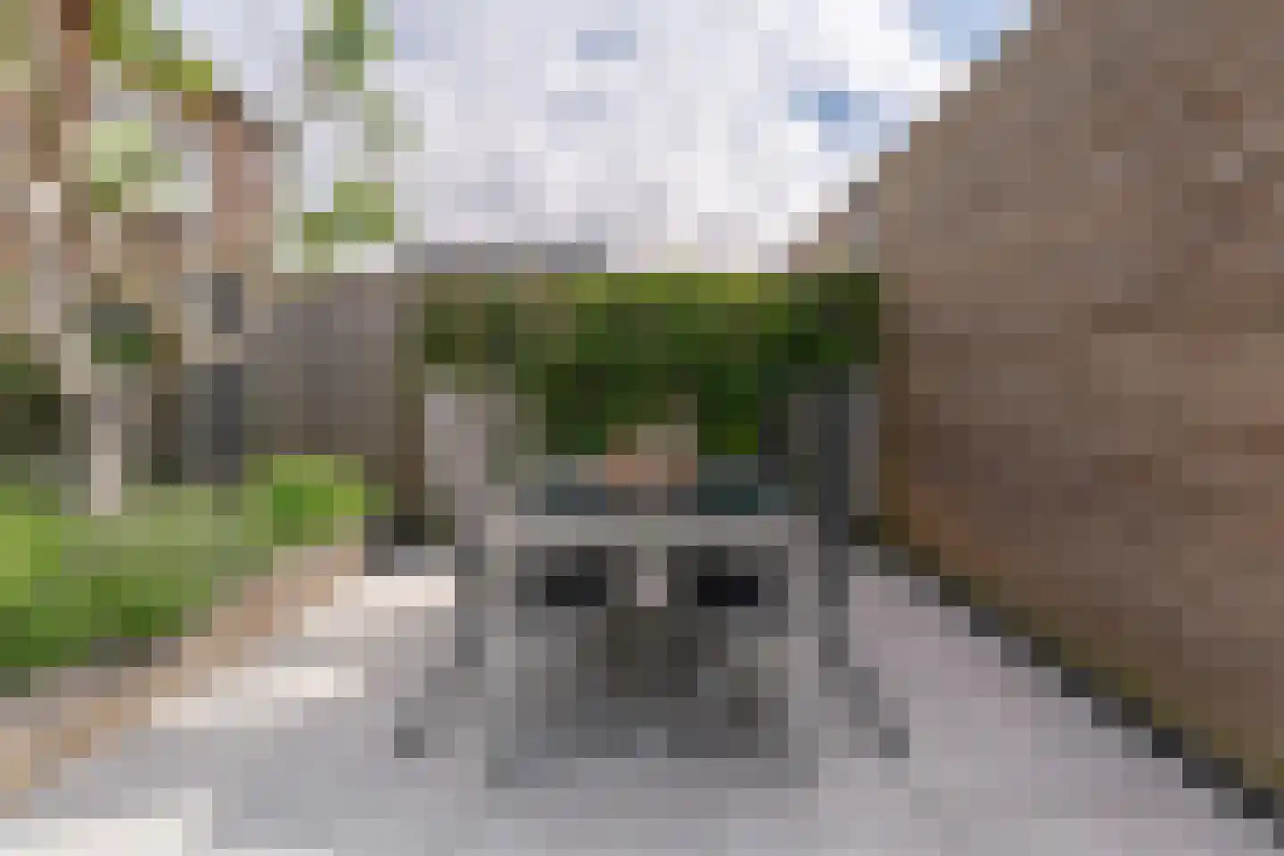 Tulp 23 Voorhout thumbnail 37