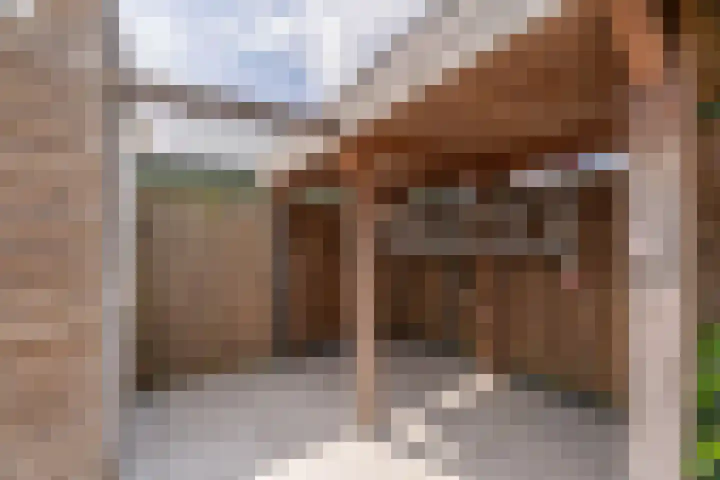 Tulp 23 Voorhout thumbnail 39