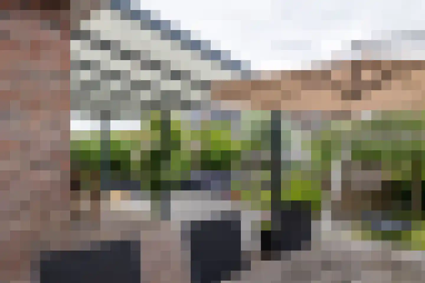 Tulpappel 16 Winkel thumbnail 17