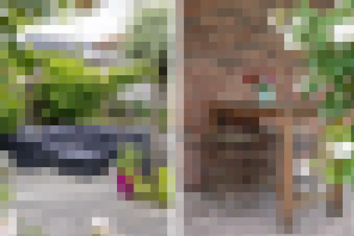 Tulpappel 16 Winkel thumbnail 20