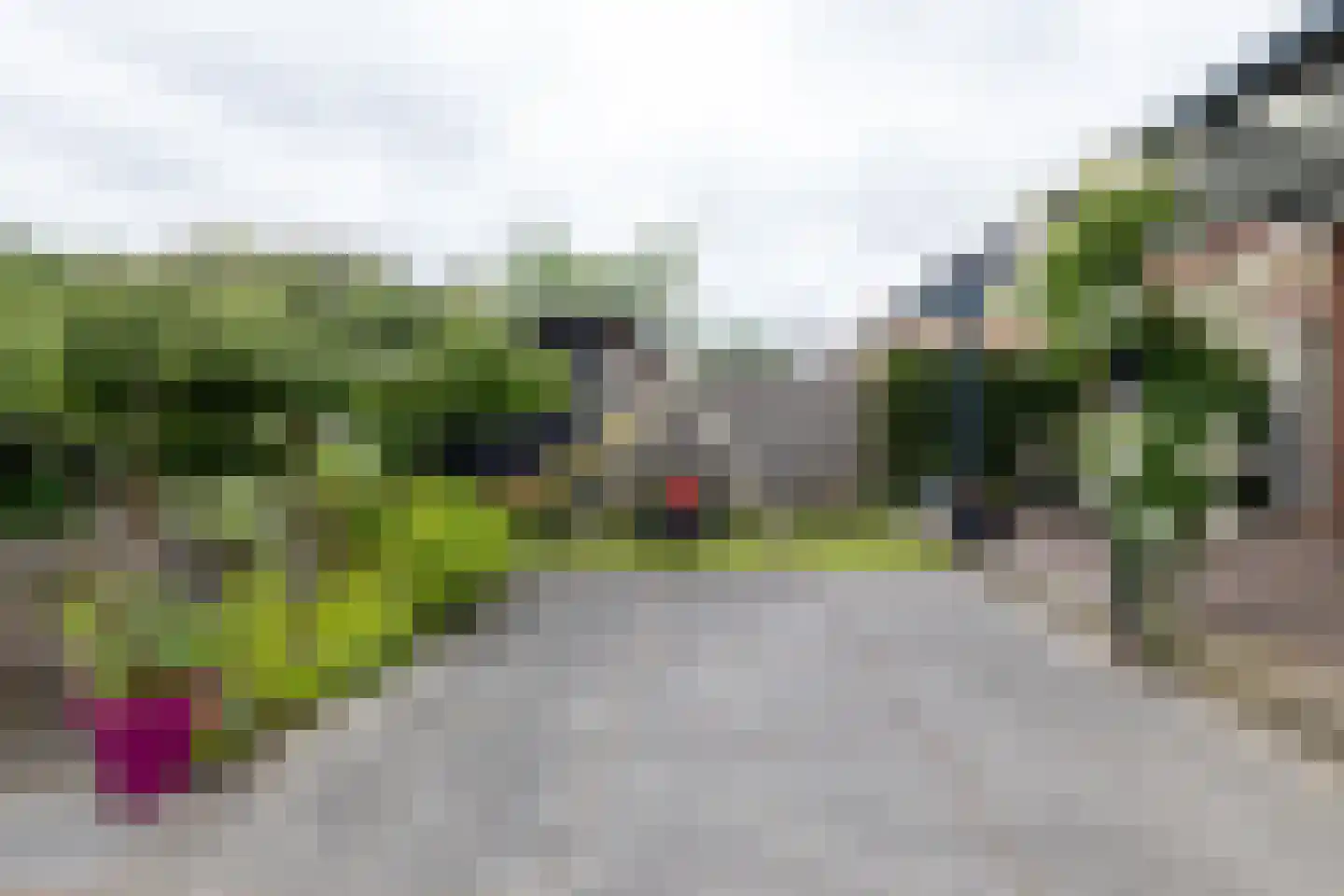 Tulpappel 16 Winkel thumbnail 21