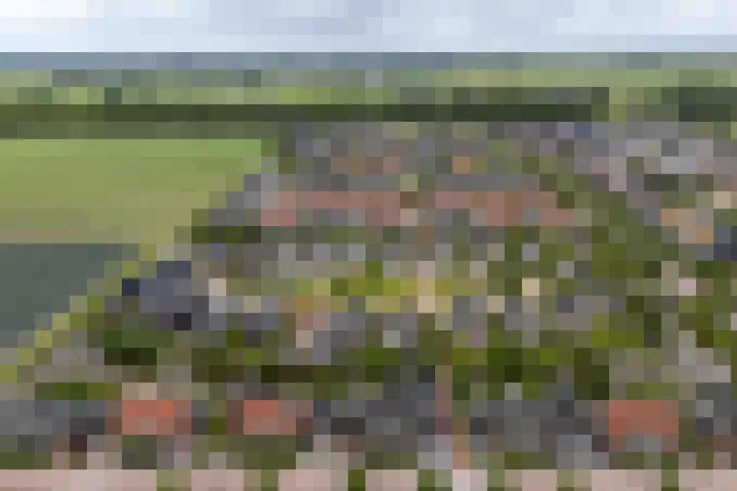 Tulpappel 16 Winkel thumbnail 24