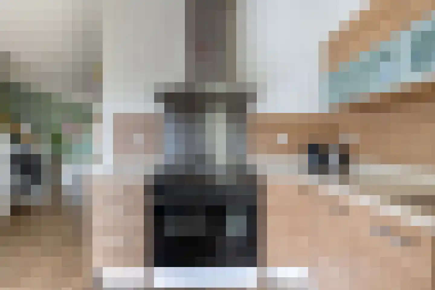 Tulpappel 16 Winkel thumbnail 5