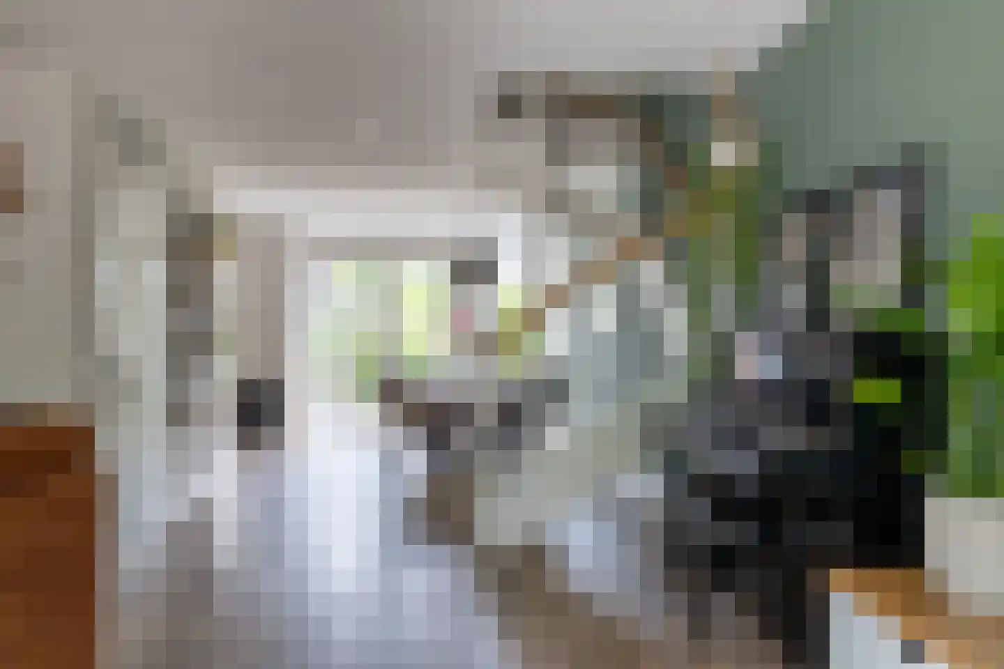 Tulpappel 16 Winkel thumbnail 8