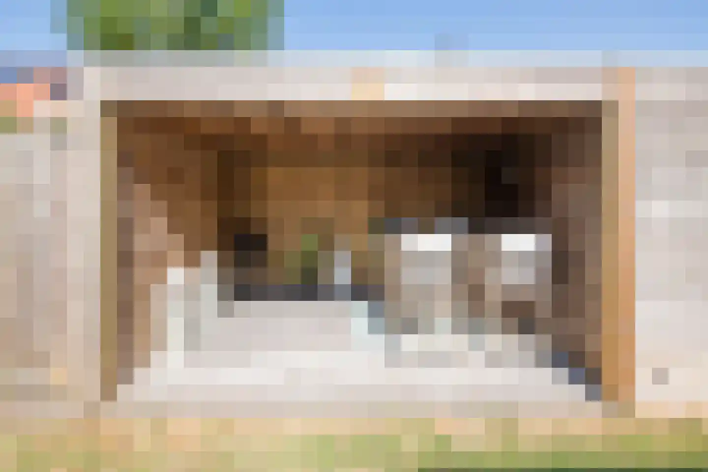 Tulpappel 23 Winkel thumbnail 39