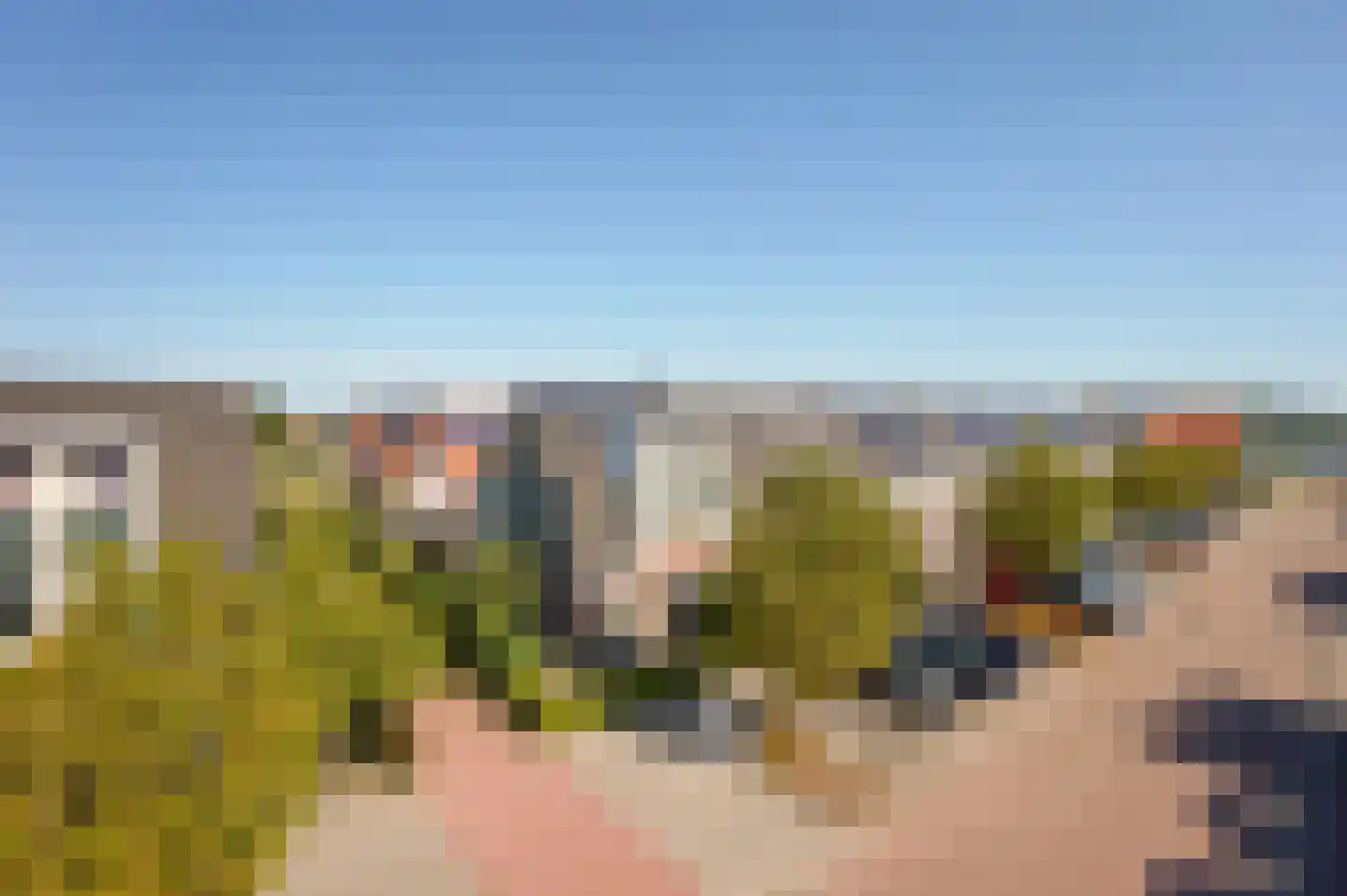 Tulpappel 23 Winkel thumbnail 46