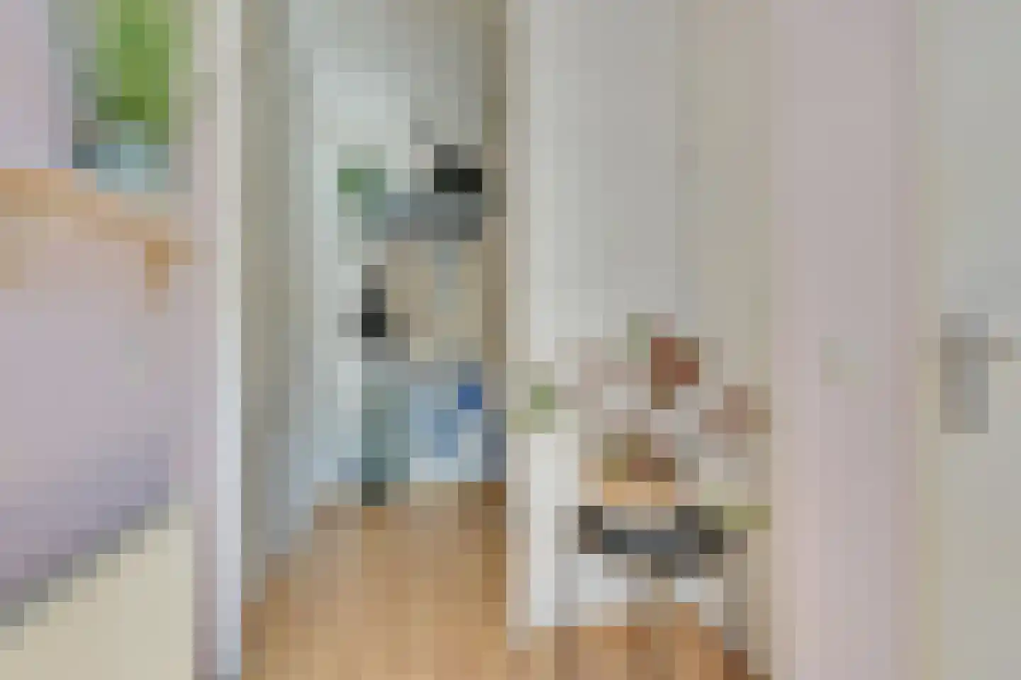Tulpappel 23 Winkel thumbnail 9