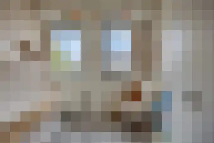 Tulpappel 25 Winkel thumbnail 10