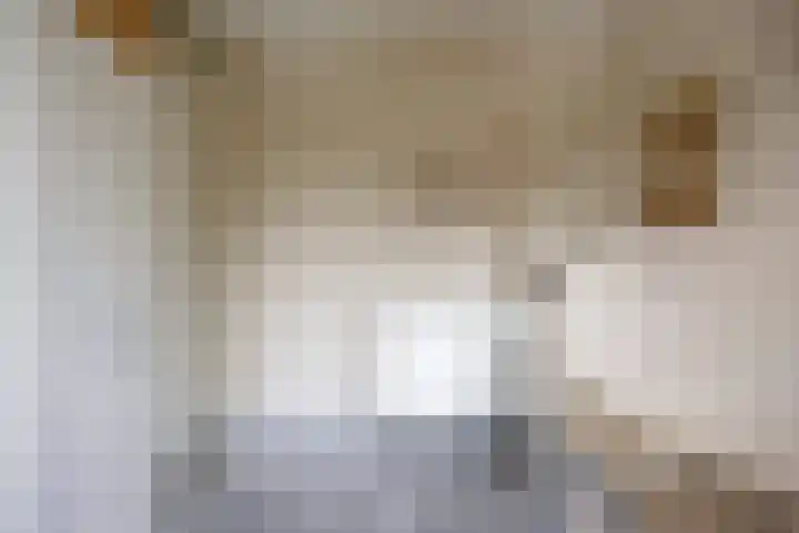 Tulpappel 25 Winkel thumbnail 11