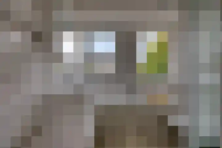 Tulpappel 25 Winkel thumbnail 13