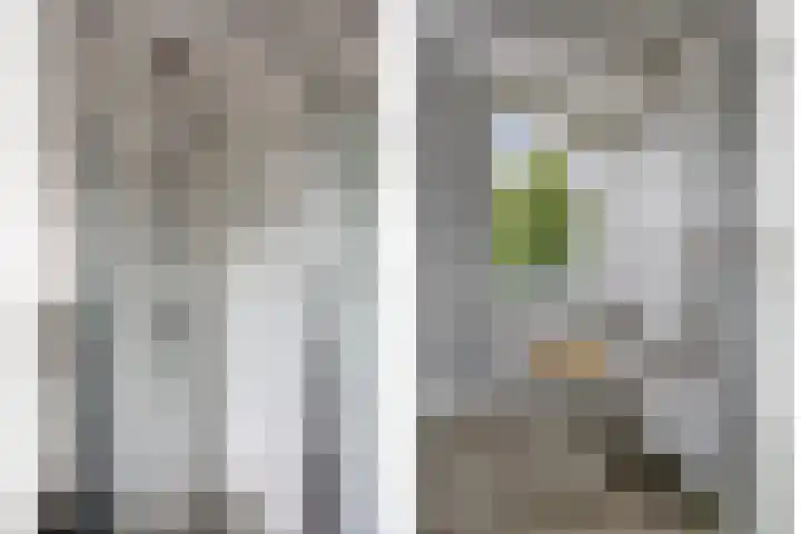 Tulpappel 25 Winkel thumbnail 14