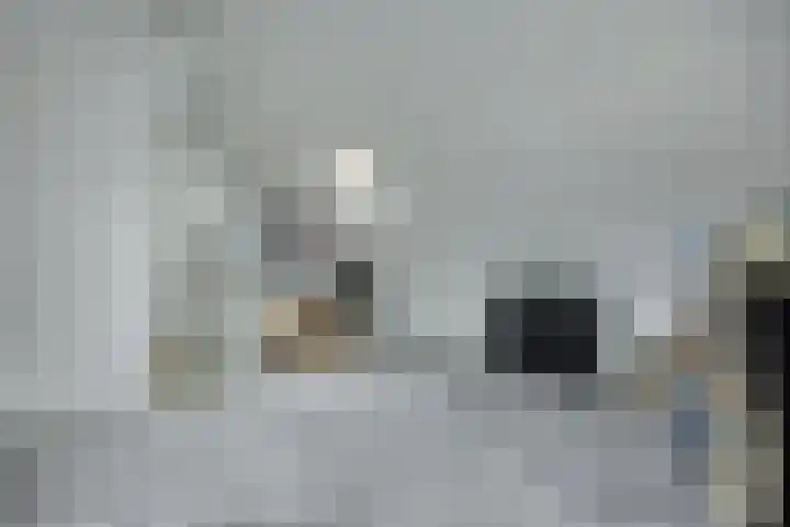 Tulpappel 25 Winkel thumbnail 15