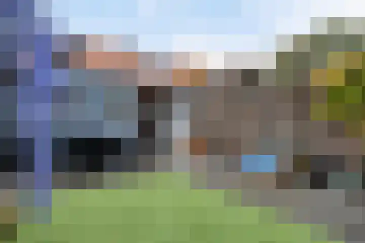 Tulpappel 25 Winkel thumbnail 16