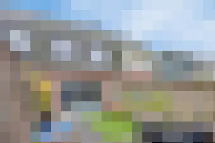 Tulpappel 25 Winkel thumbnail 17