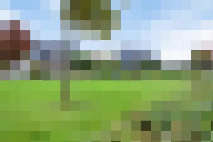 Tulpappel 25 Winkel thumbnail 18