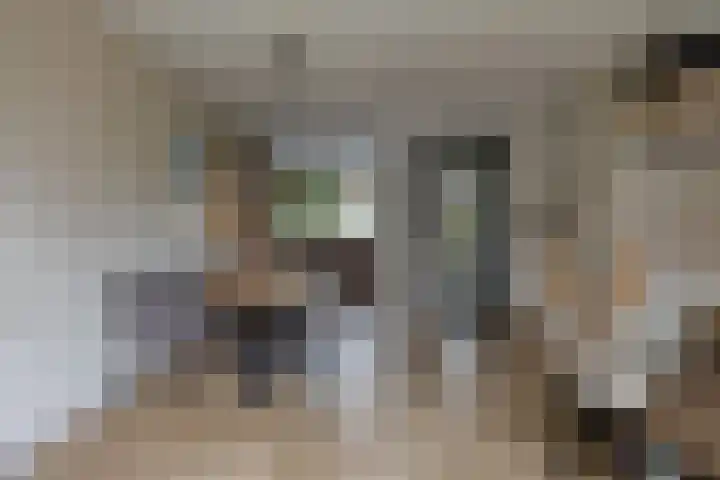 Tulpappel 25 Winkel thumbnail 4