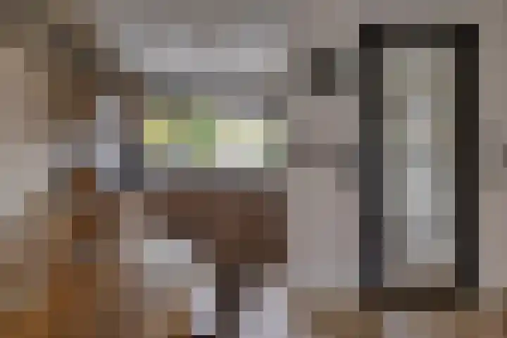 Tulpappel 25 Winkel thumbnail 5
