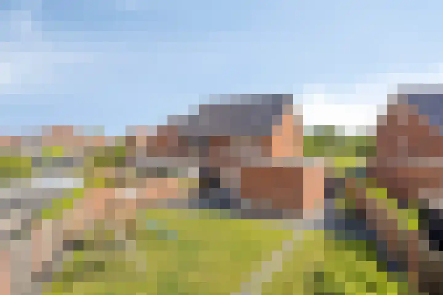 Tulpenboom 12 Cuijk thumbnail 4