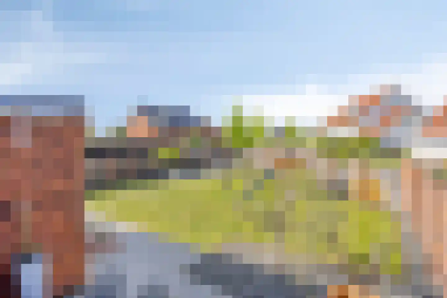 Tulpenboom 12 Cuijk thumbnail 50
