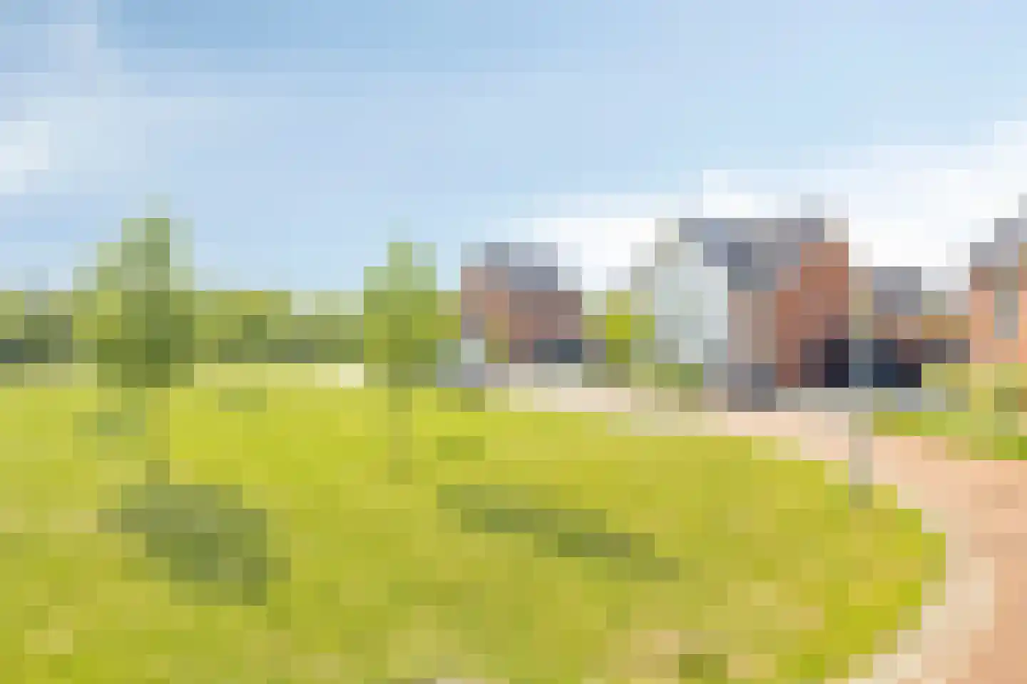 Tulpenboom 12 Cuijk thumbnail 6