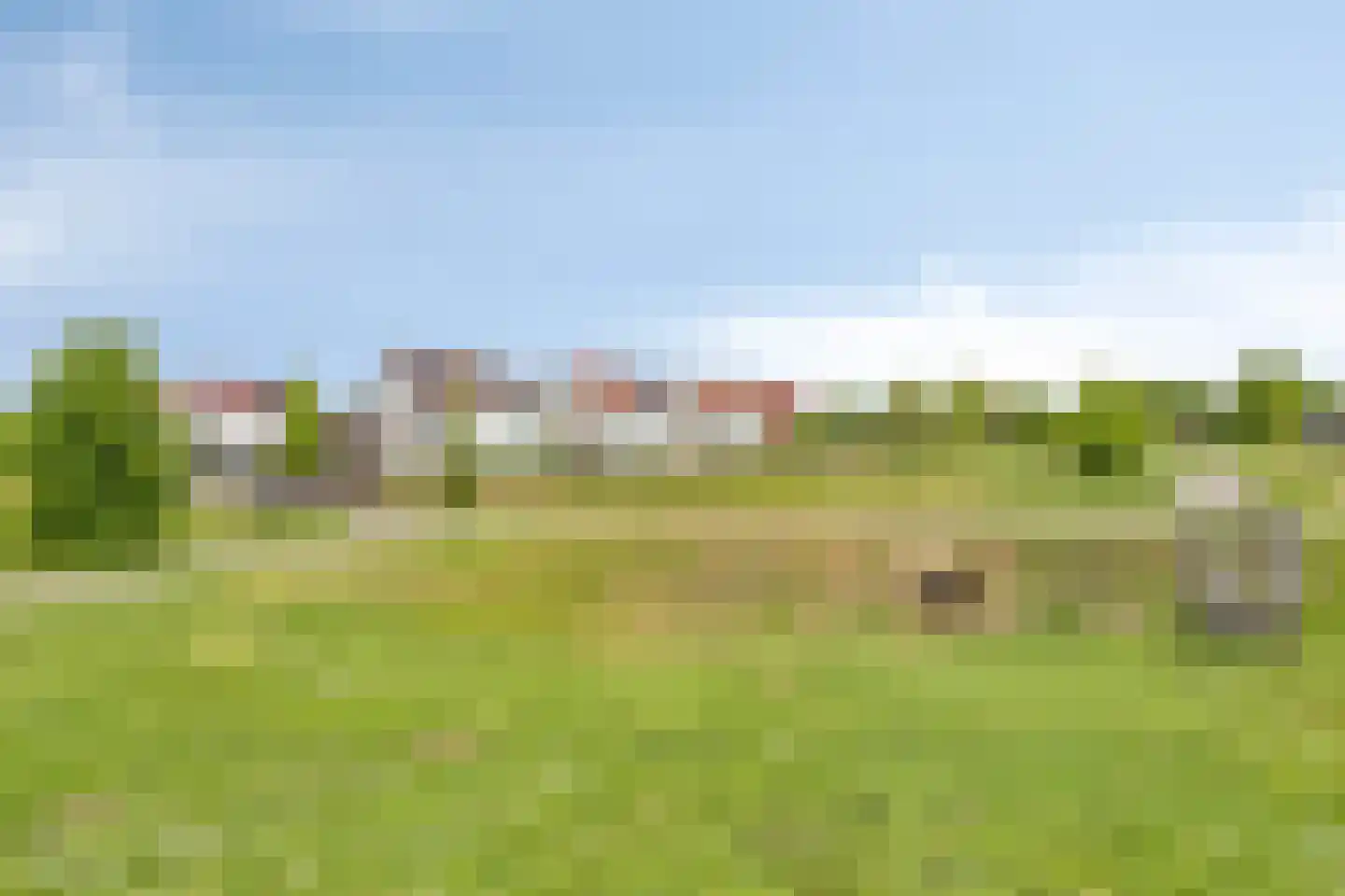 Tulpenboom 12 Cuijk thumbnail 62