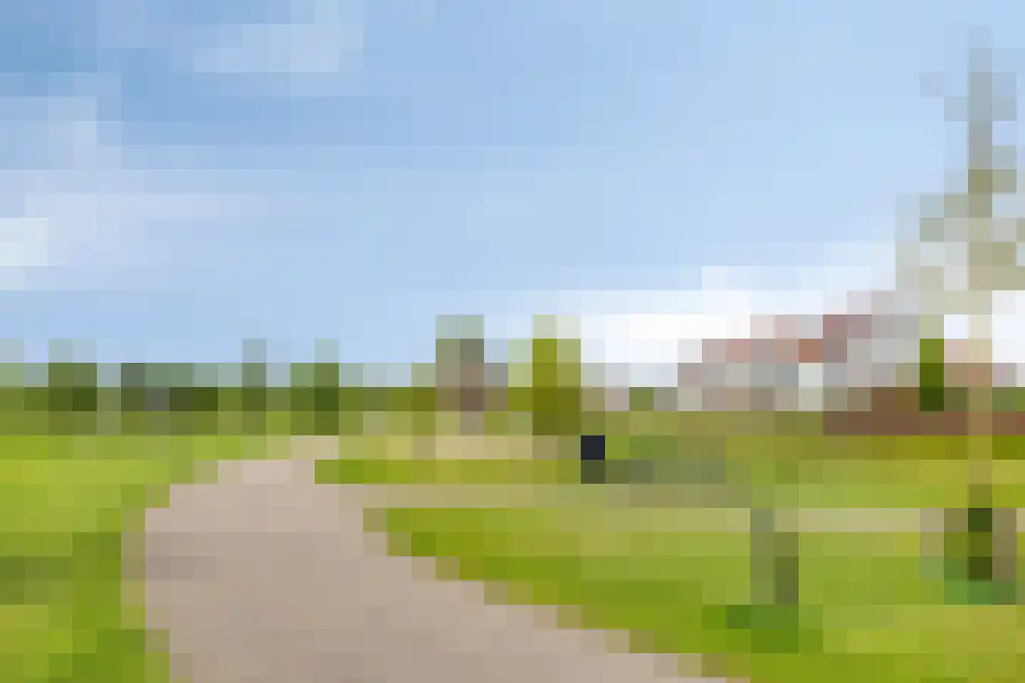 Tulpenboom 12 Cuijk thumbnail 63