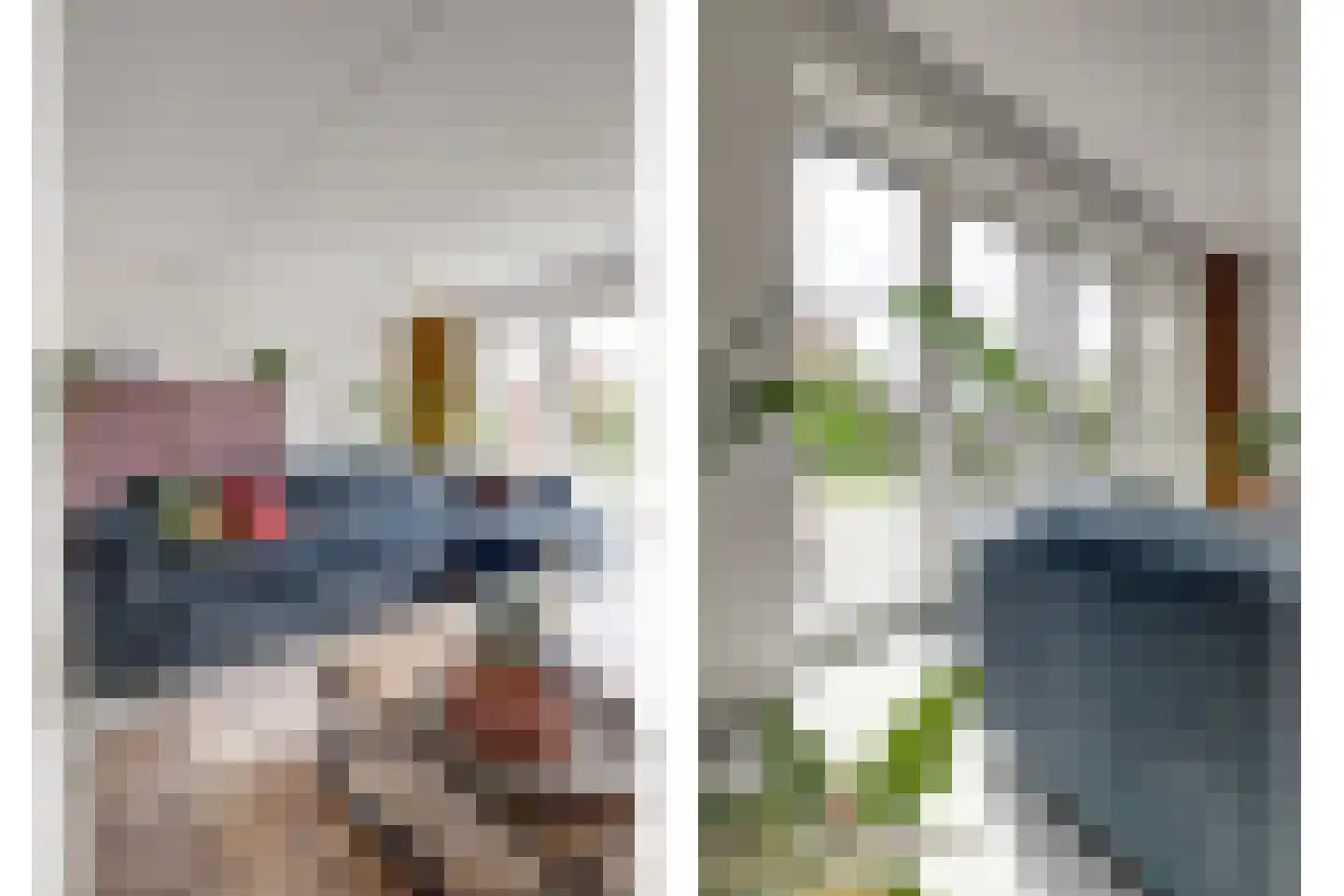Tulpenboom 2 Cuijk thumbnail 17