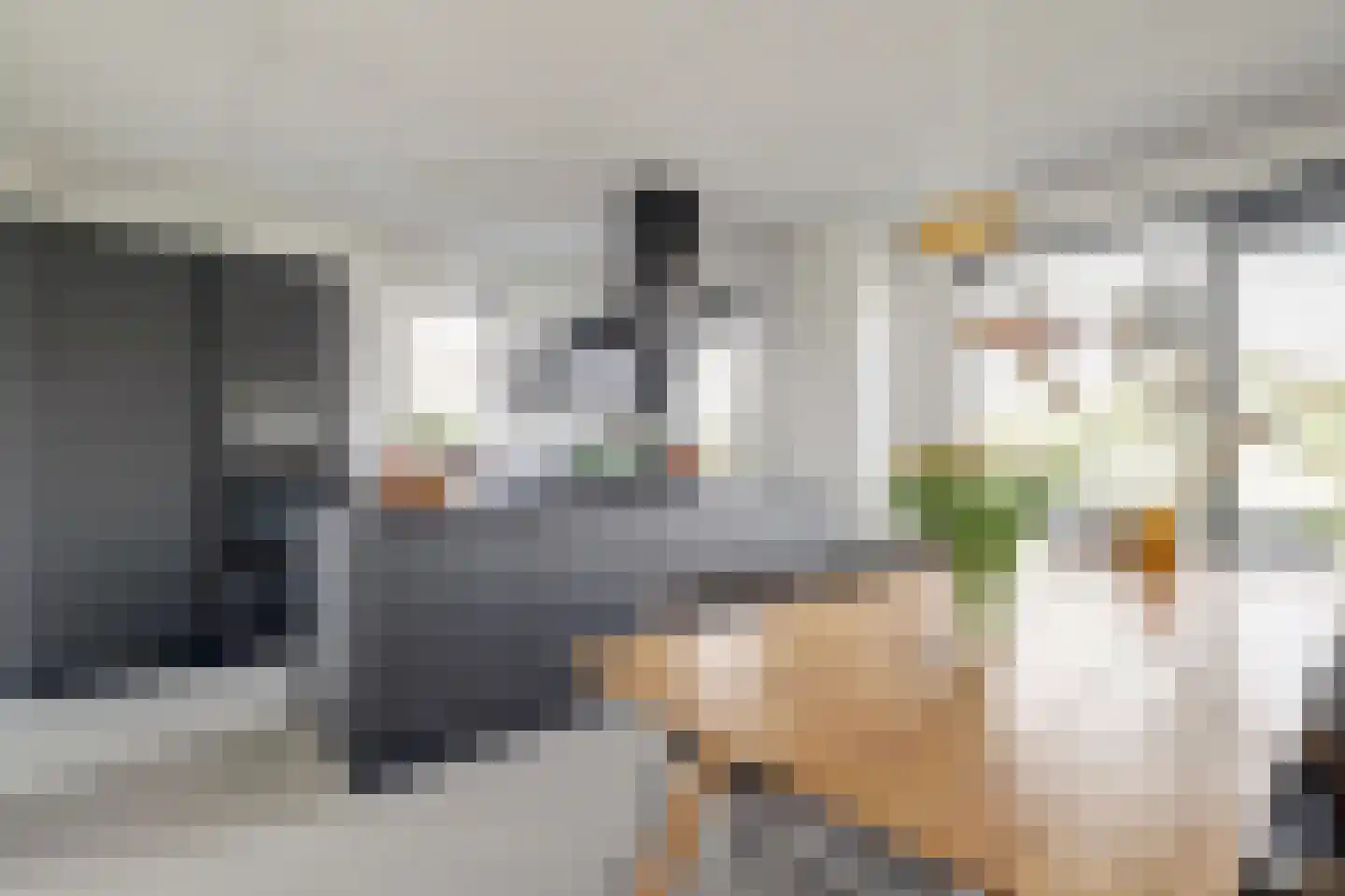 Tulpenboom 2 Cuijk thumbnail 20