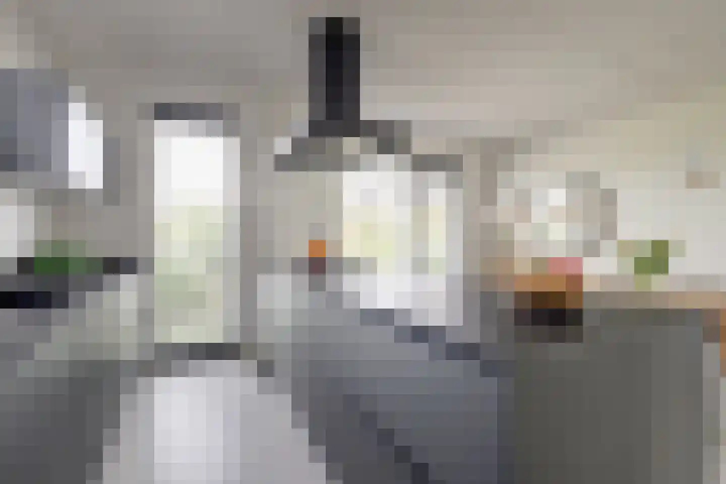 Tulpenboom 2 Cuijk thumbnail 22