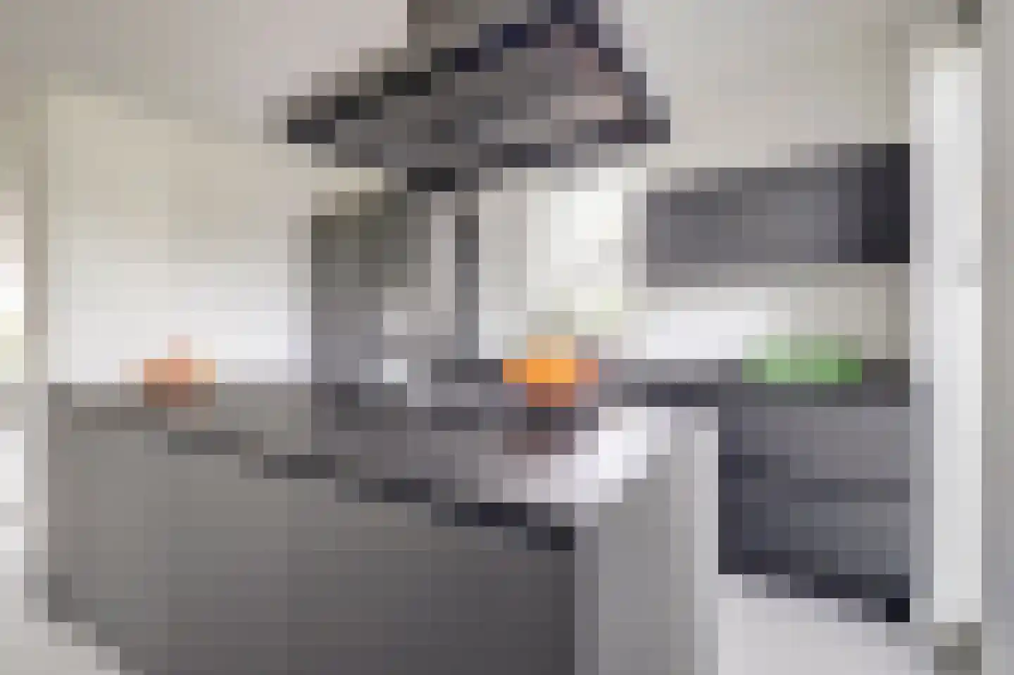 Tulpenboom 2 Cuijk thumbnail 24