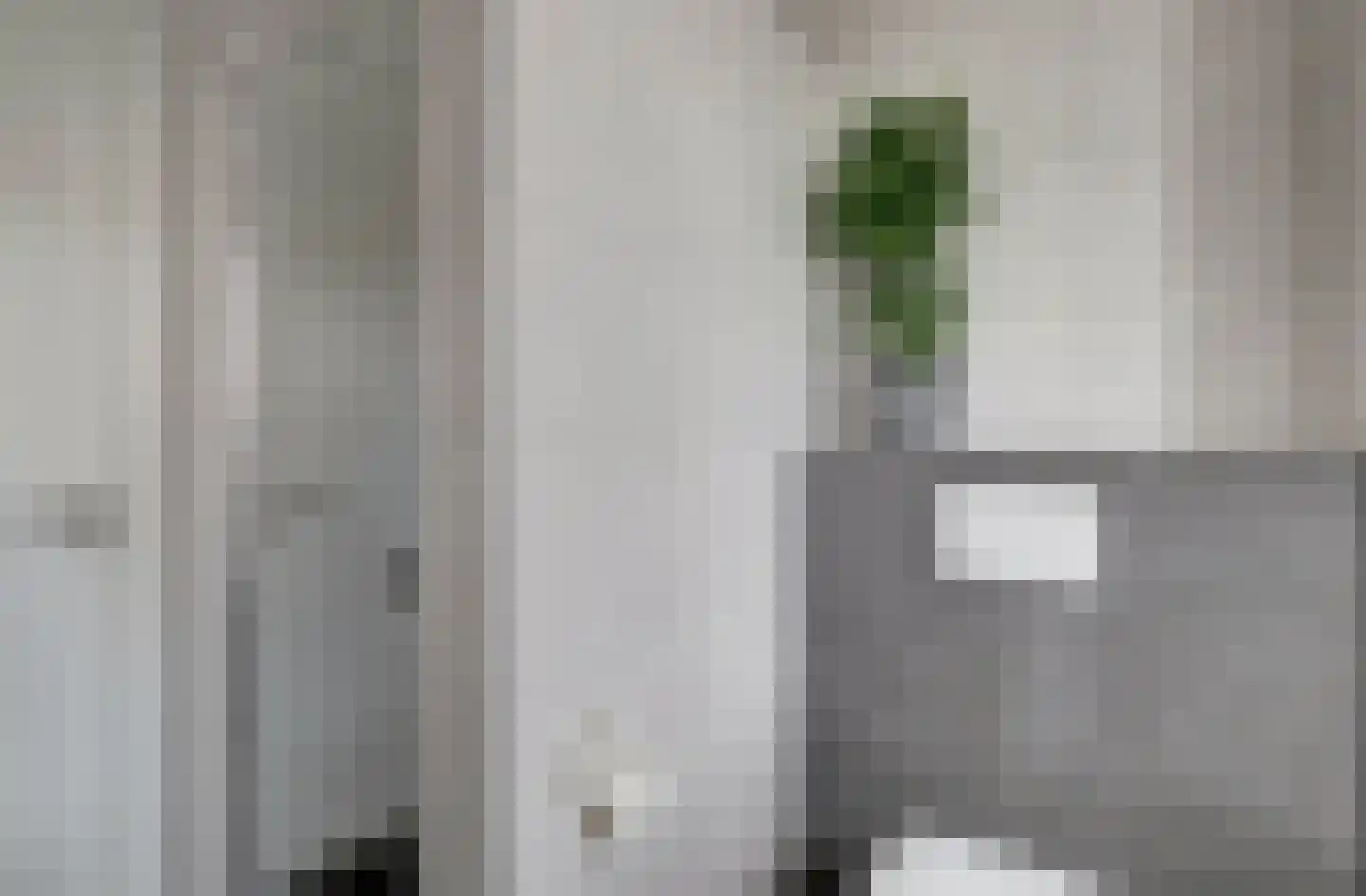 Tulpenboom 2 Cuijk thumbnail 40