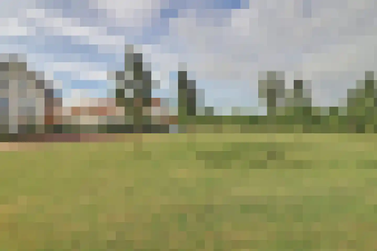 Tulpenboom 2 Cuijk thumbnail 5