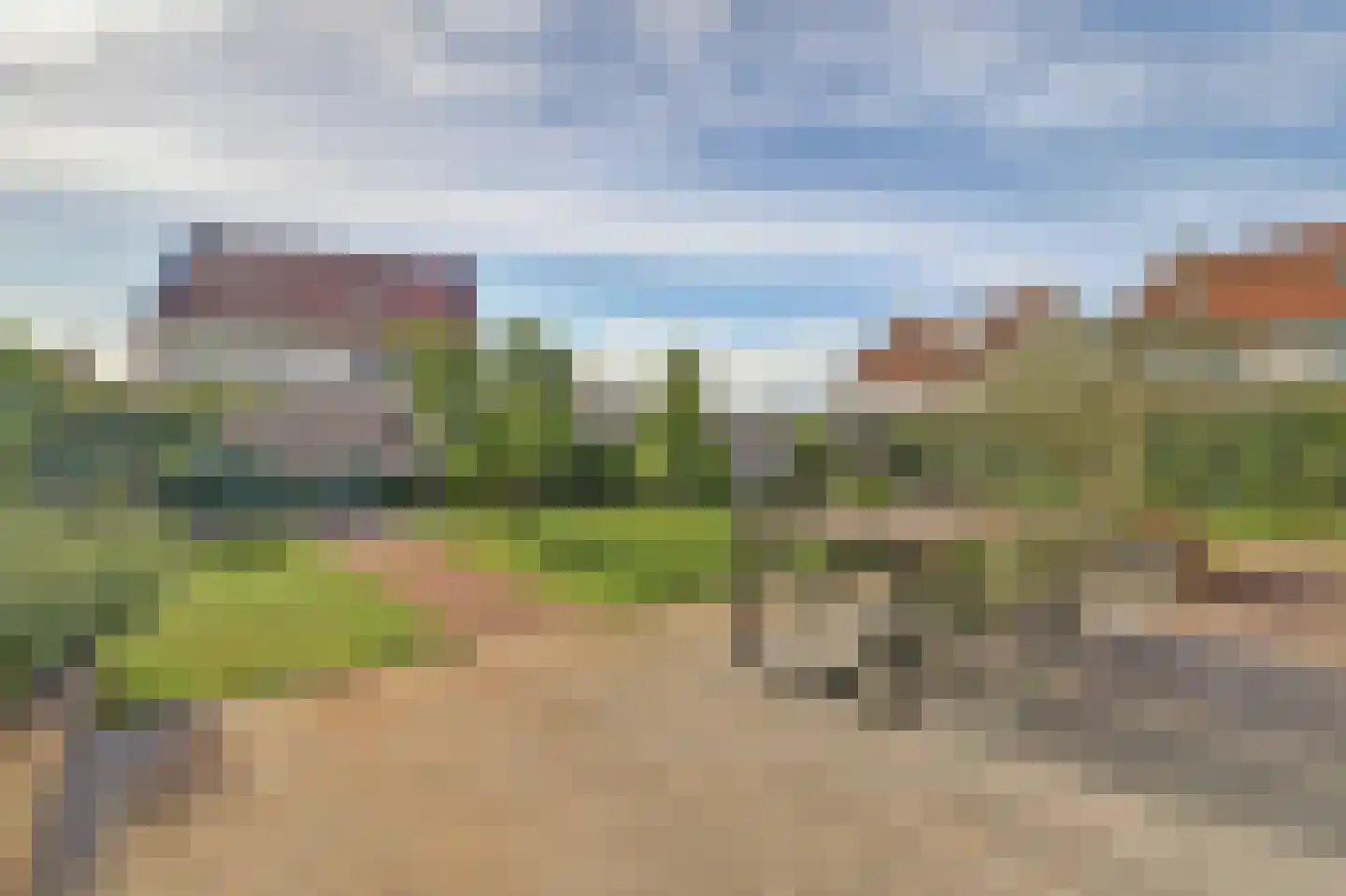 Tulpenboom 2 Cuijk thumbnail 52