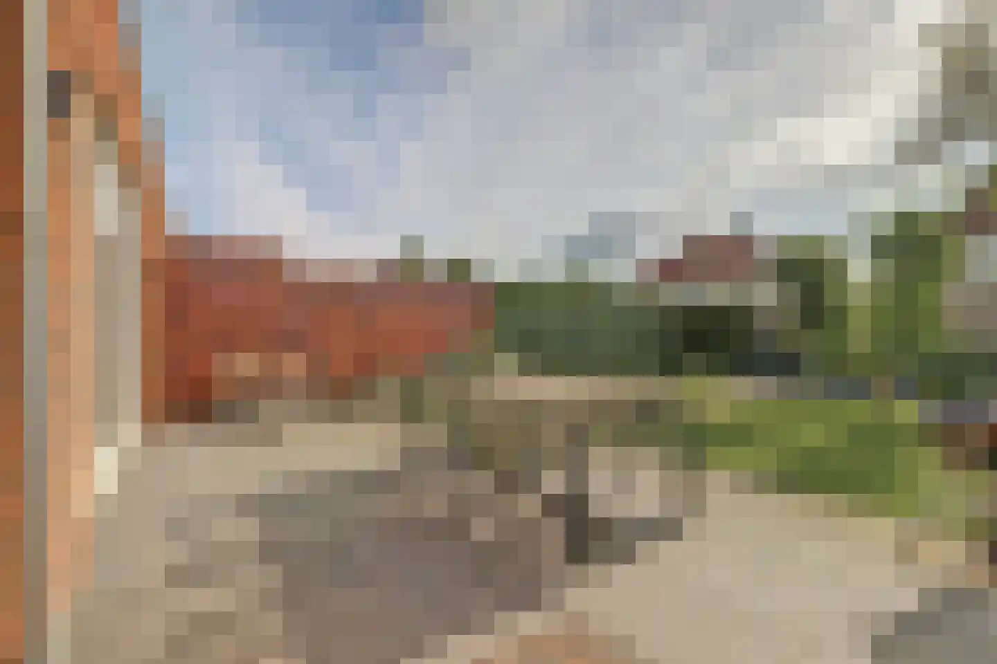 Tulpenboom 2 Cuijk thumbnail 53