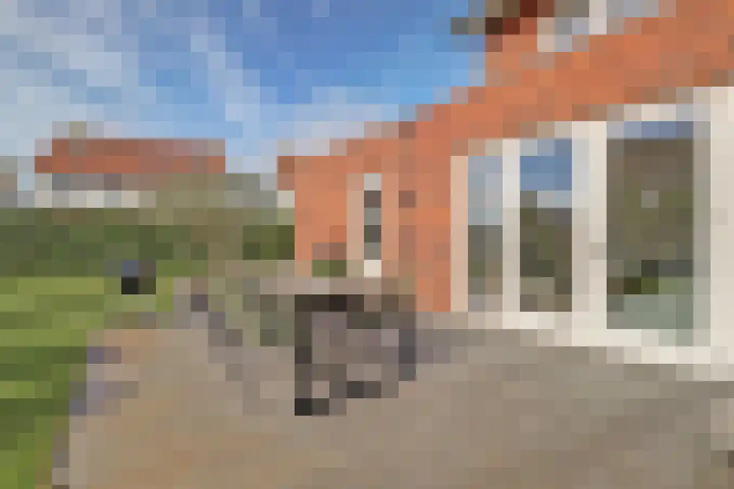 Tulpenboom 2 Cuijk thumbnail 54