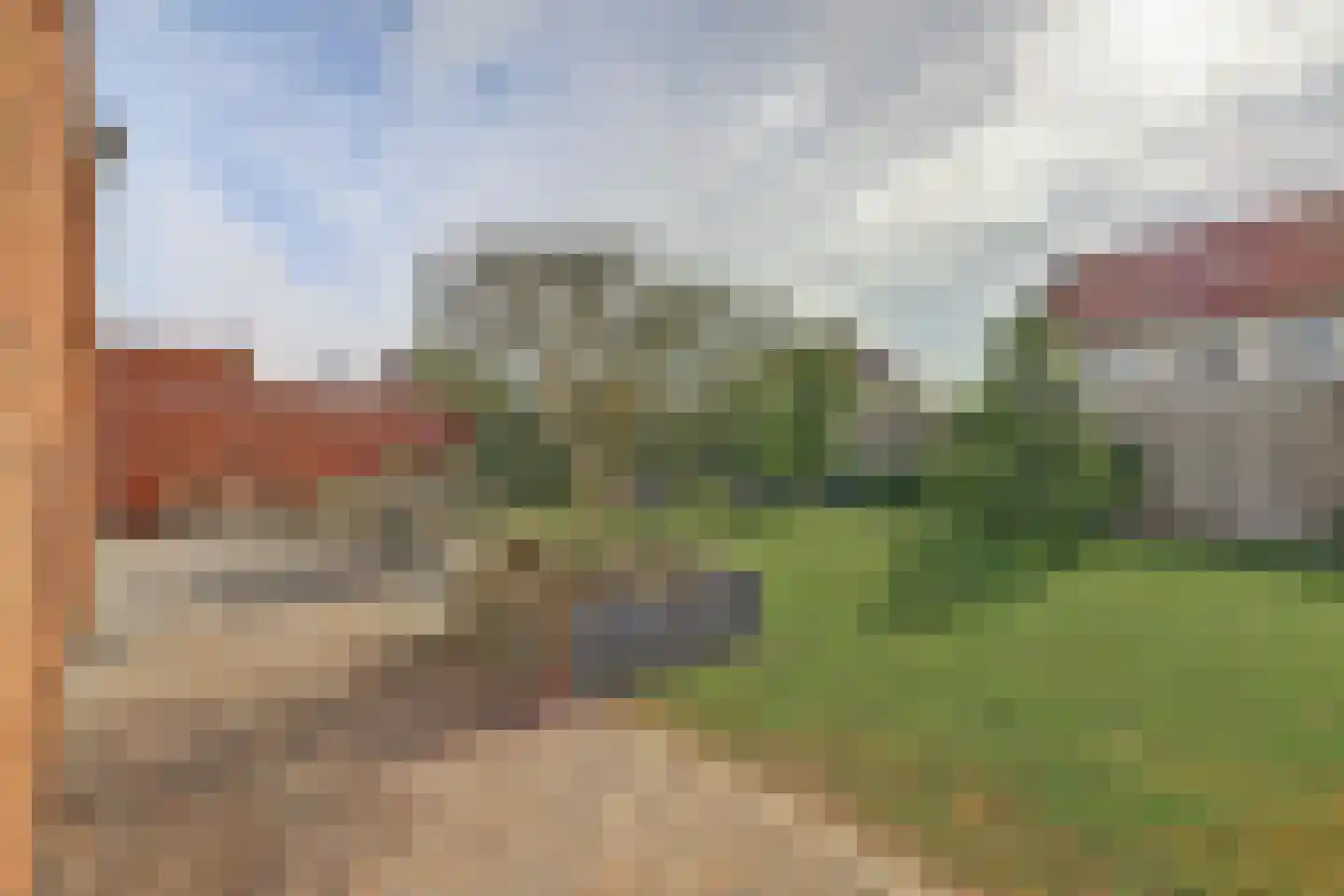 Tulpenboom 2 Cuijk thumbnail 55