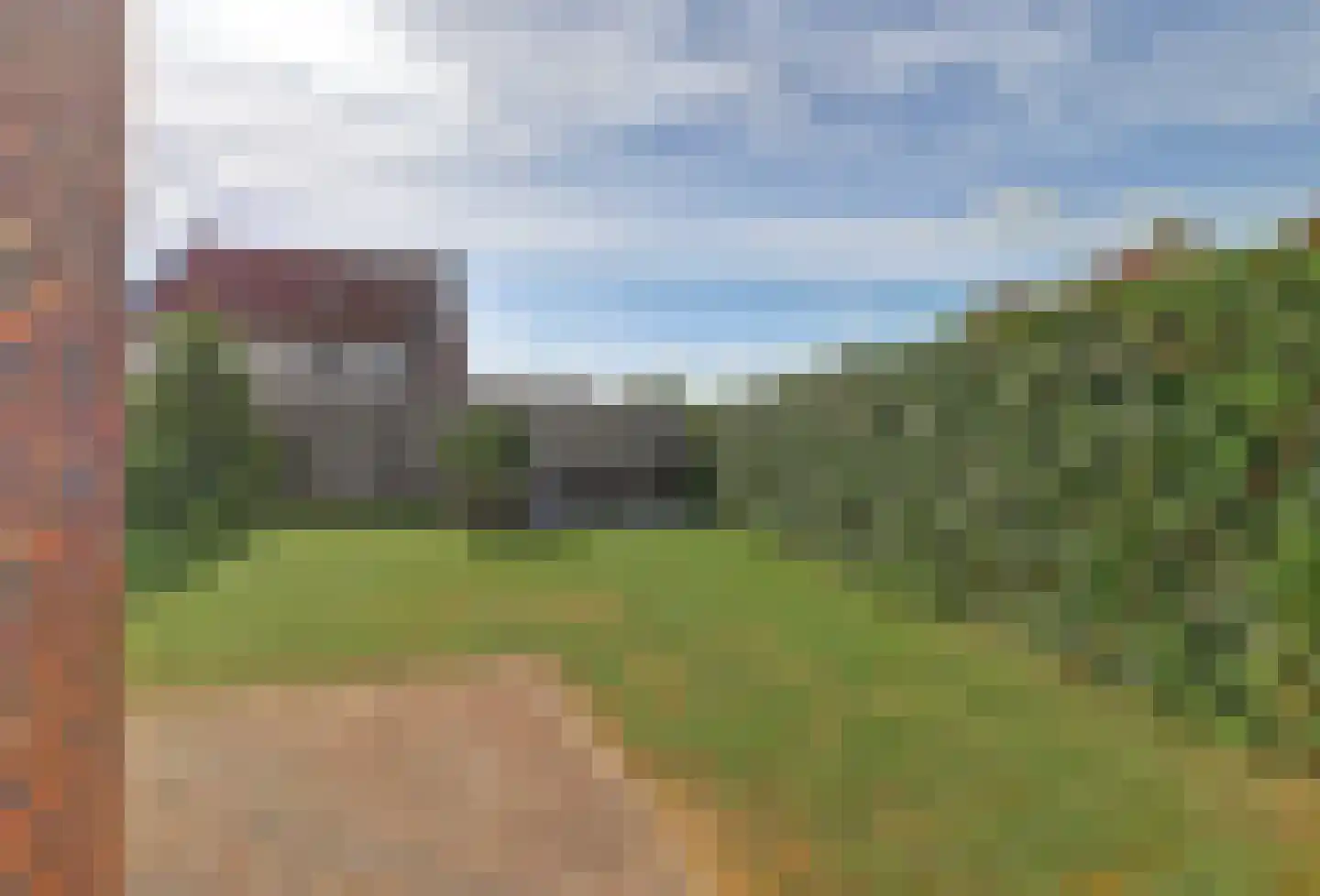 Tulpenboom 2 Cuijk thumbnail 56