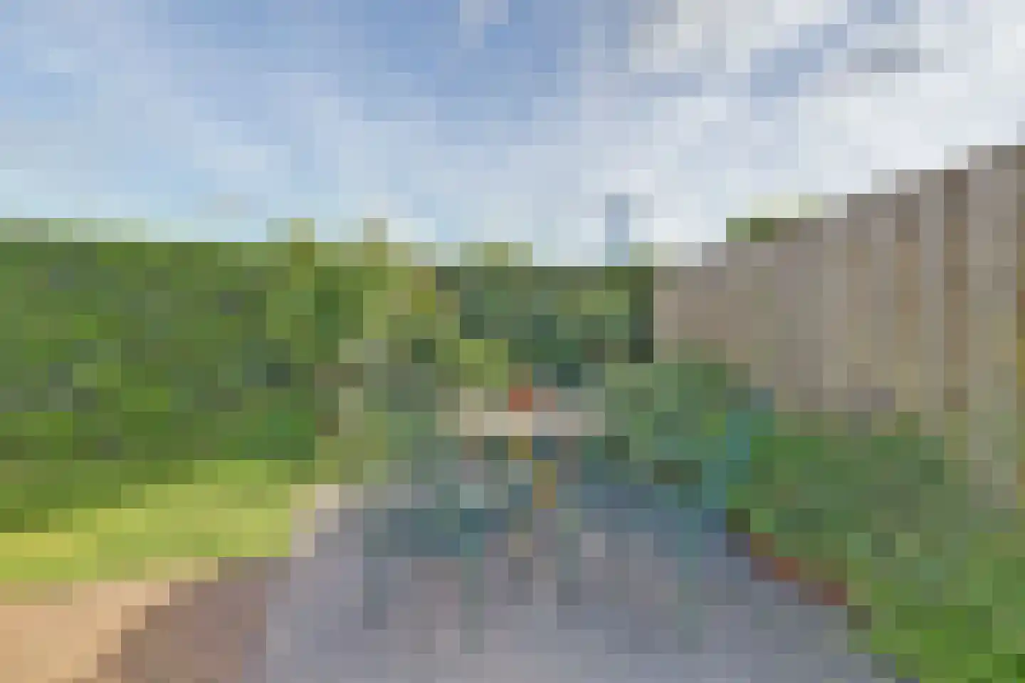 Tulpenboom 2 Cuijk thumbnail 58