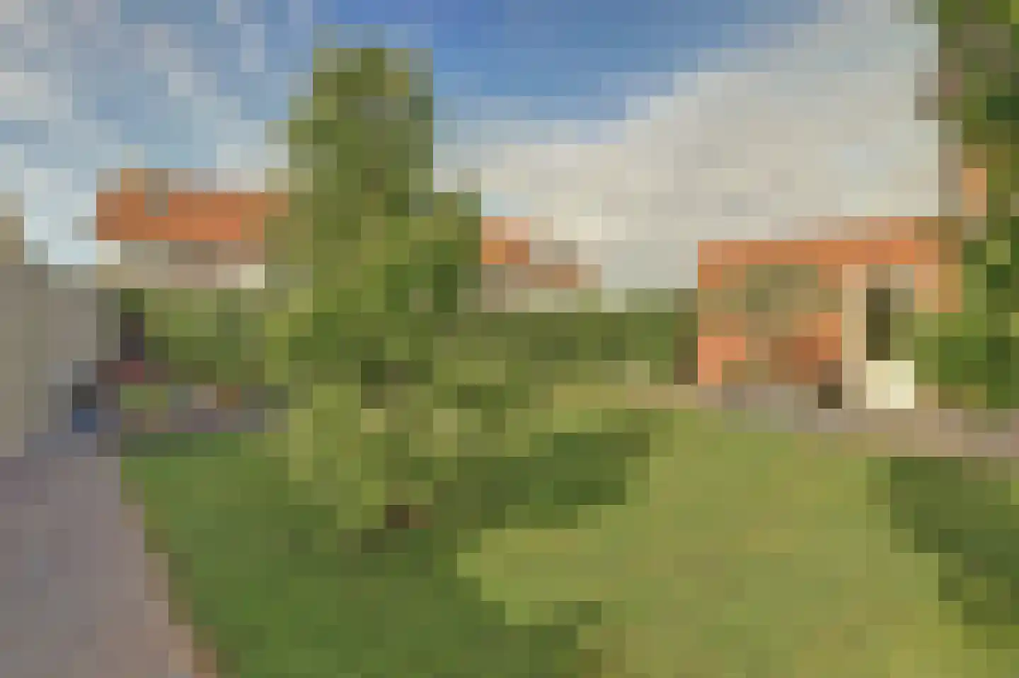 Tulpenboom 2 Cuijk thumbnail 59