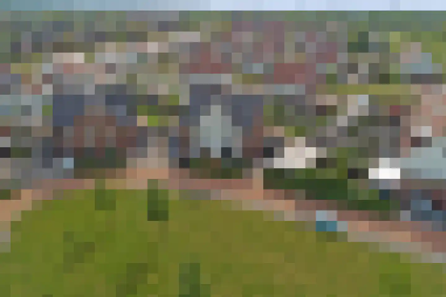 Tulpenboom 2 Cuijk thumbnail 6