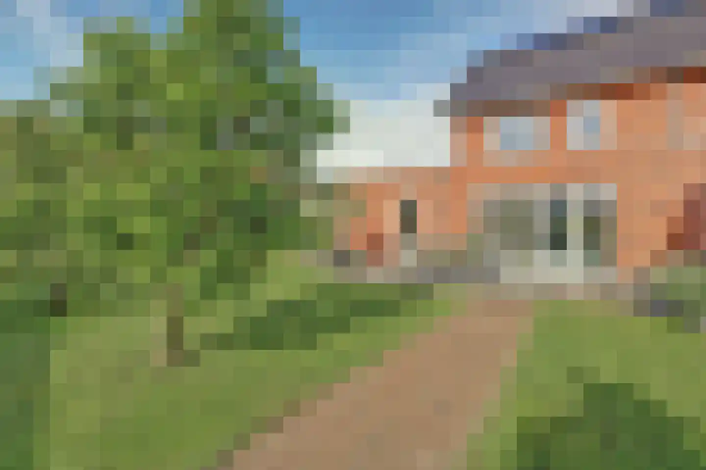 Tulpenboom 2 Cuijk thumbnail 60