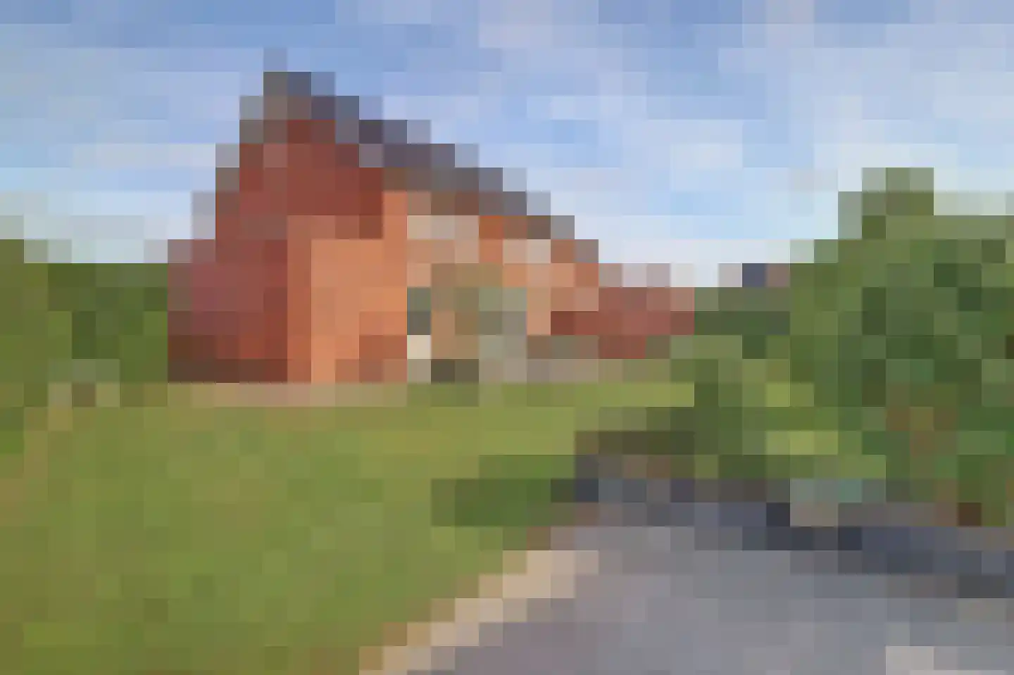 Tulpenboom 2 Cuijk thumbnail 61