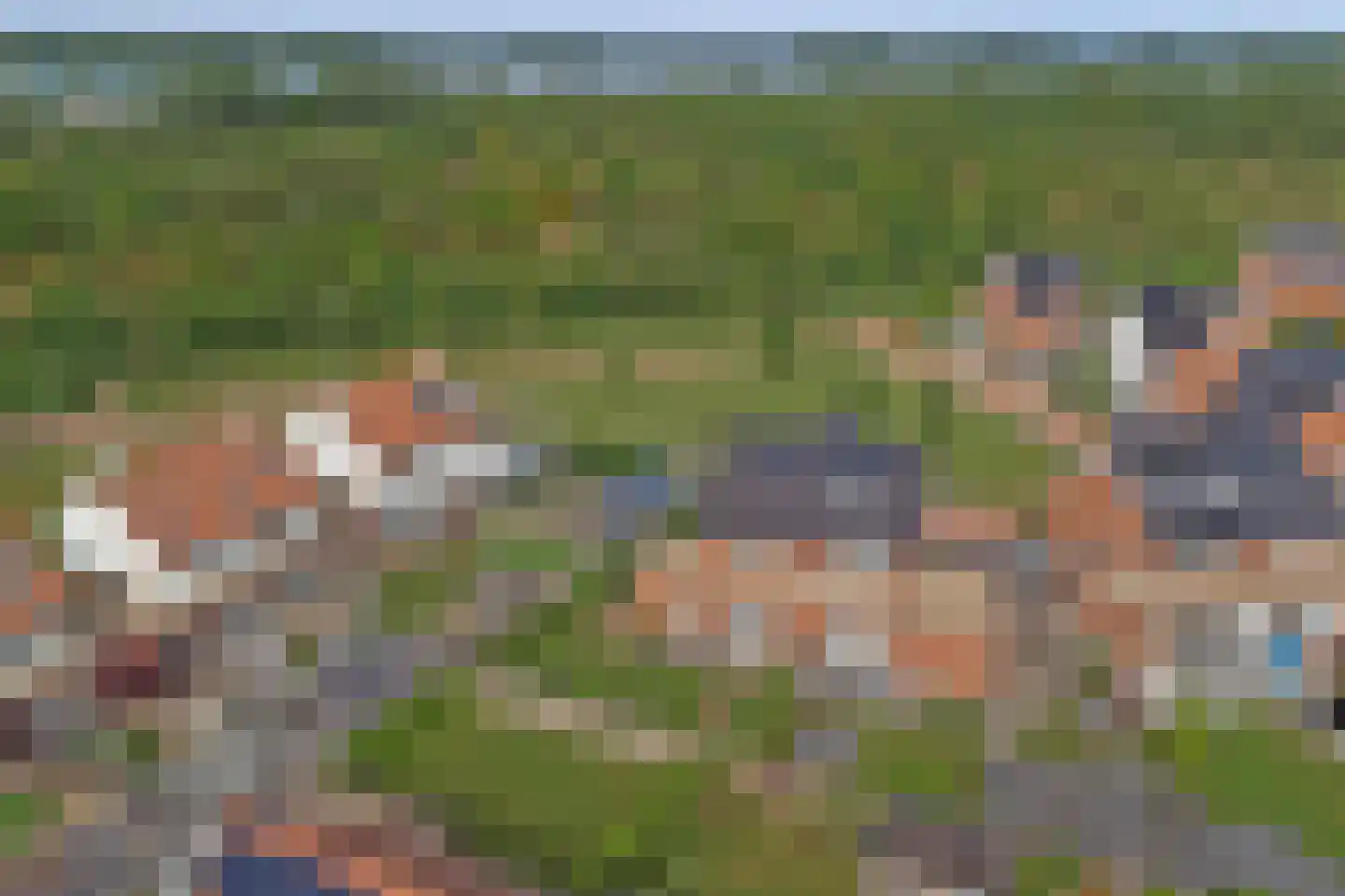 Tulpenboom 2 Cuijk thumbnail 64
