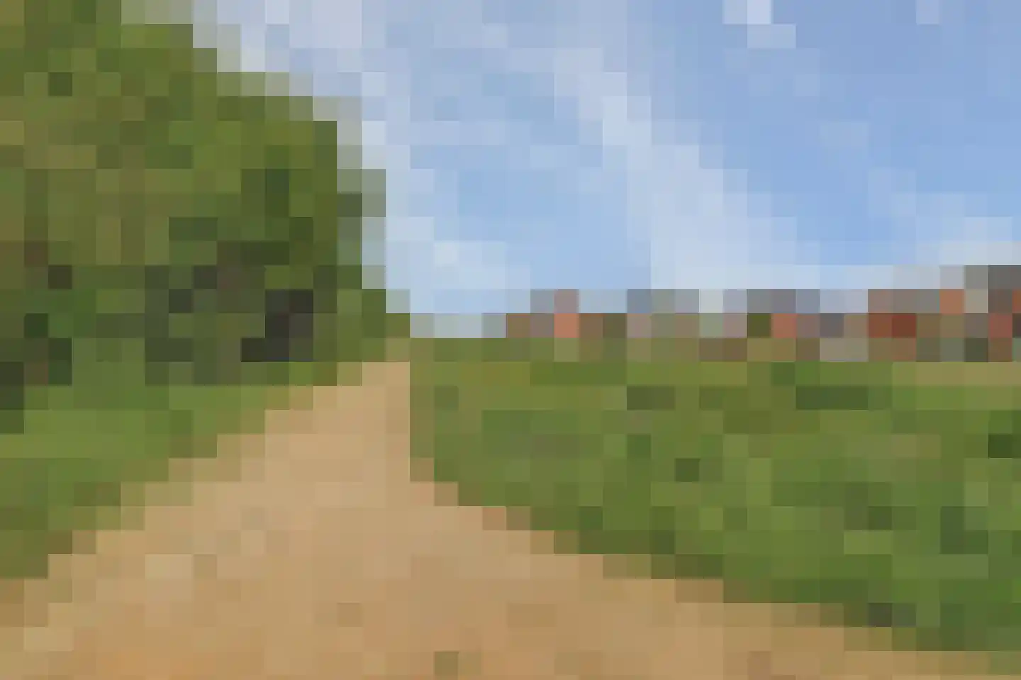 Tulpenboom 2 Cuijk thumbnail 69