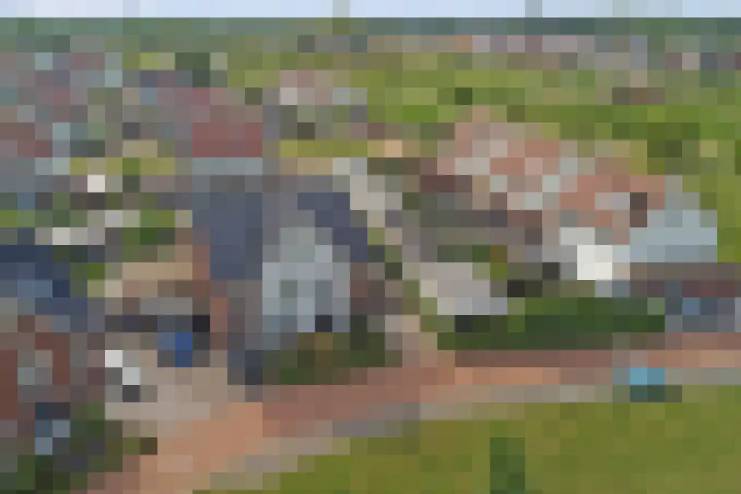 Tulpenboom 2 Cuijk thumbnail 7