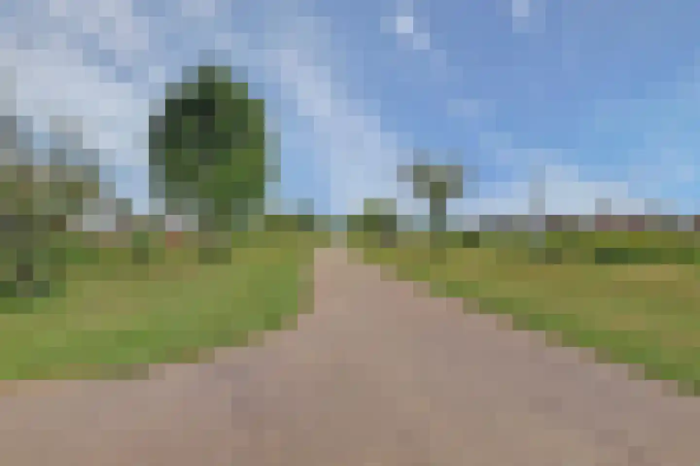 Tulpenboom 2 Cuijk thumbnail 70